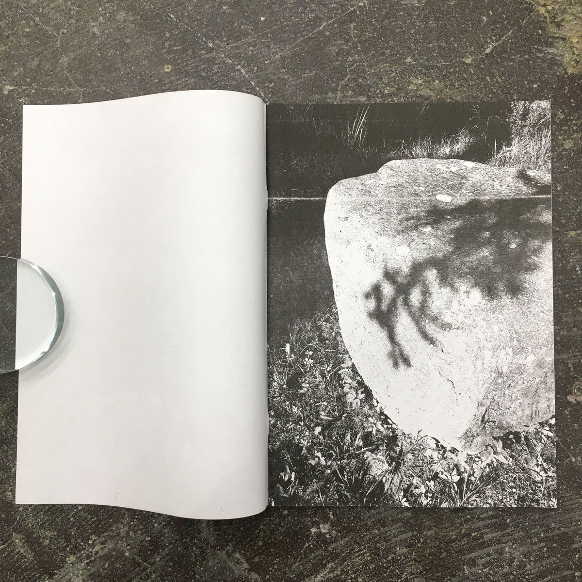 Ever New Raphaël Gianelli-Meriano EVER NEW BY RAPHAEL GIANELLI-MERIANO