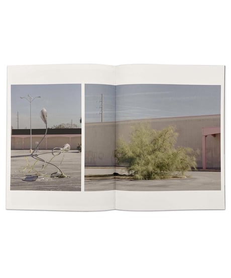 Daniel Dorsa "Paradise"
