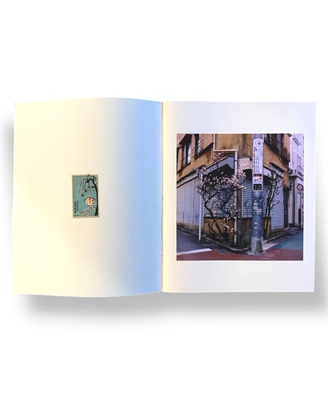 Joe Magowan "NERVOUS SYSTEM"