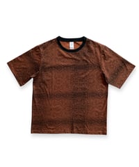 VAINL ARCHIVE "FRUIT Printed Tee Apricot"