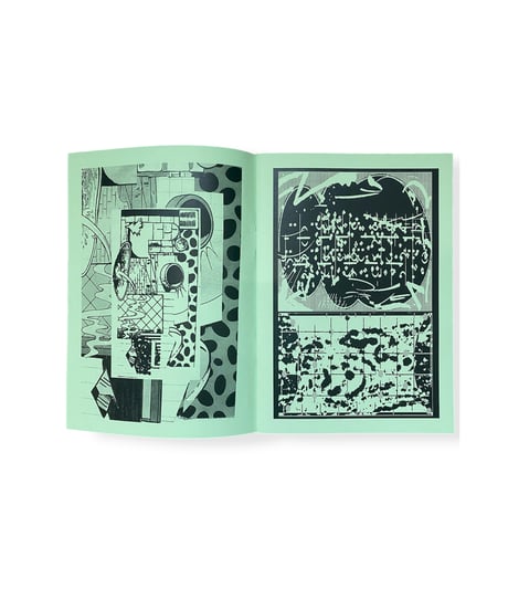 BROSHUDA "ASEMIC INTENT"