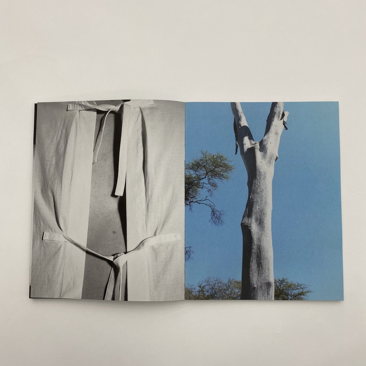 A Magazine #21 - Lucie and Luke Meier 新品 A Magazine 21: Curated By Lucie And Luke Meier – Perimeter Books
