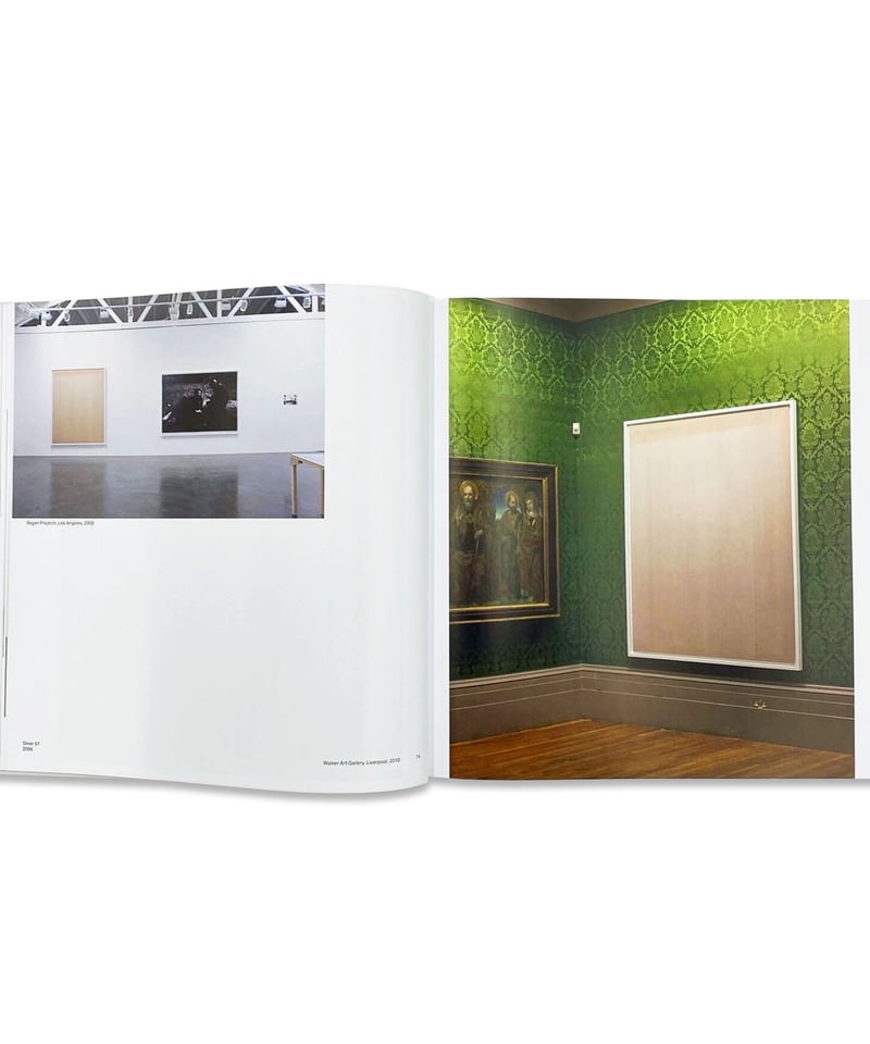 Wolfgang Tillmans “Saturated Light” | SALT AND