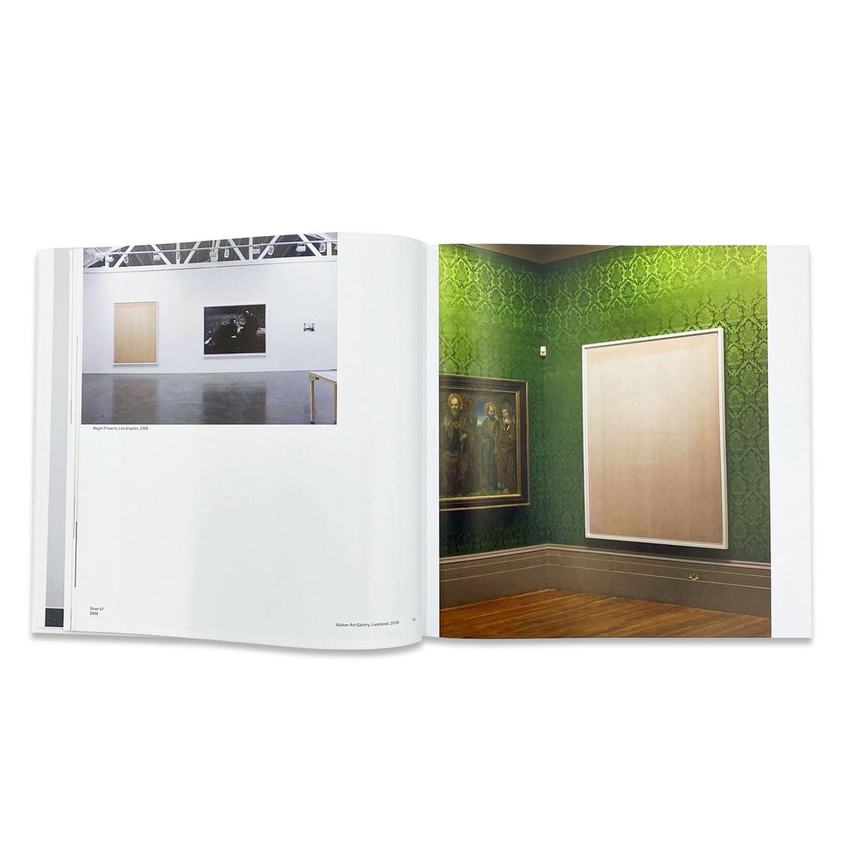洋書❗️ティルマンス 作品集　Tillmans【Saturated Light】 SATURATED LIGHT：ヴォルフガング・ティルマンスの販売・通販 | OIL