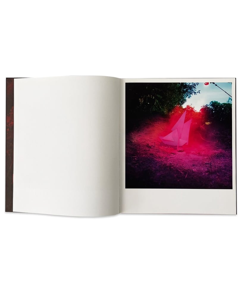 John Divola “CHROMA” | SALT AND PEPPER