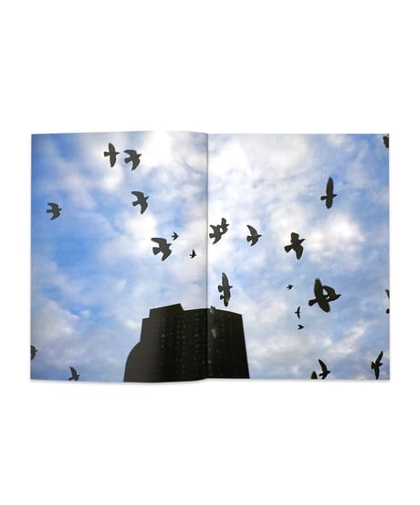 Ryousuke Tanzawa "First Thought Best Thought"