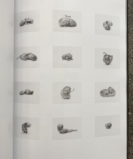 Death Book 1 second edition