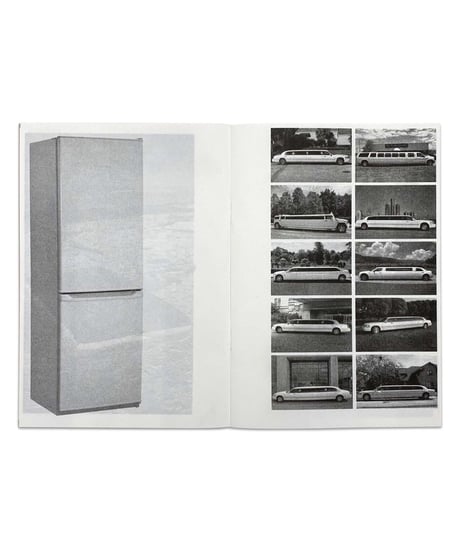 Alena Koleso “Lost Object”