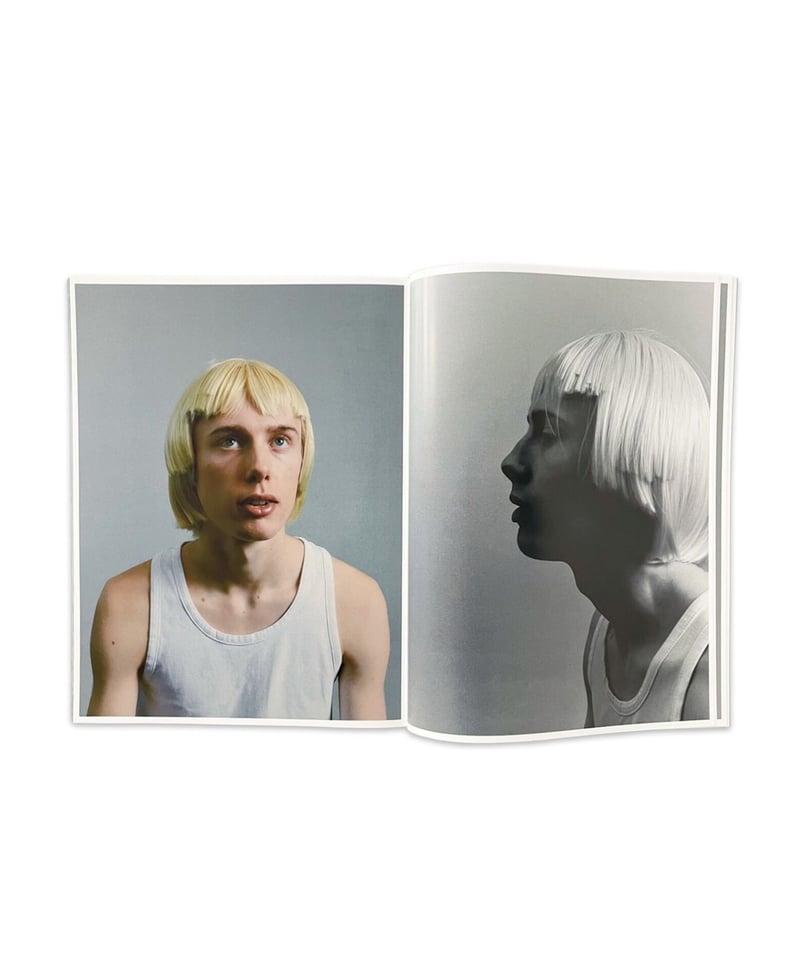 MIDDLE PLANE ISSUE NO.5 ON DAVID HOCKNEY | SALT