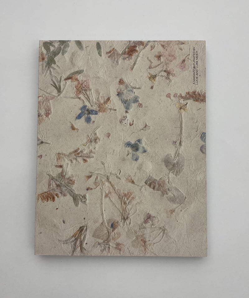 A MAGAZINE CURATED BY LUCIE AND LUKE MEIER – twelvebooks