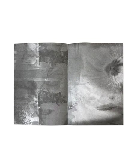 No Show Official Presents ‘HERE AND NOW & THEN’  Zine set