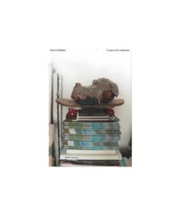 Simon Schrikker "Constructive Optimism"