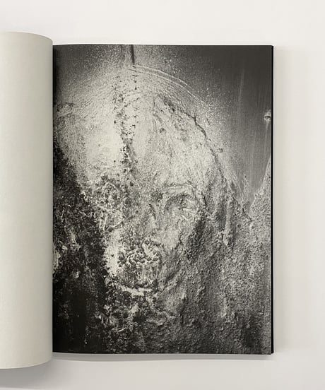 Rita Ackermann, Harmony Korine "SHADOW FUX"