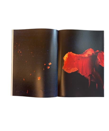 Yushi Arimura ”Grainscapes”