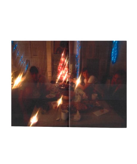 Brett Lloyd "Brett Lloyd X David Armstrong House, 2012"