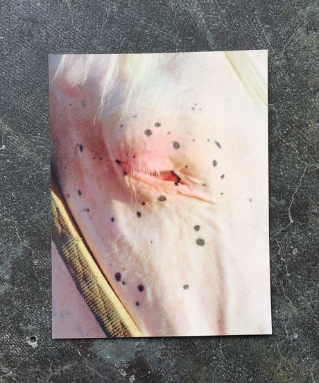 Pomegranate Press "Tunnel of Faith"