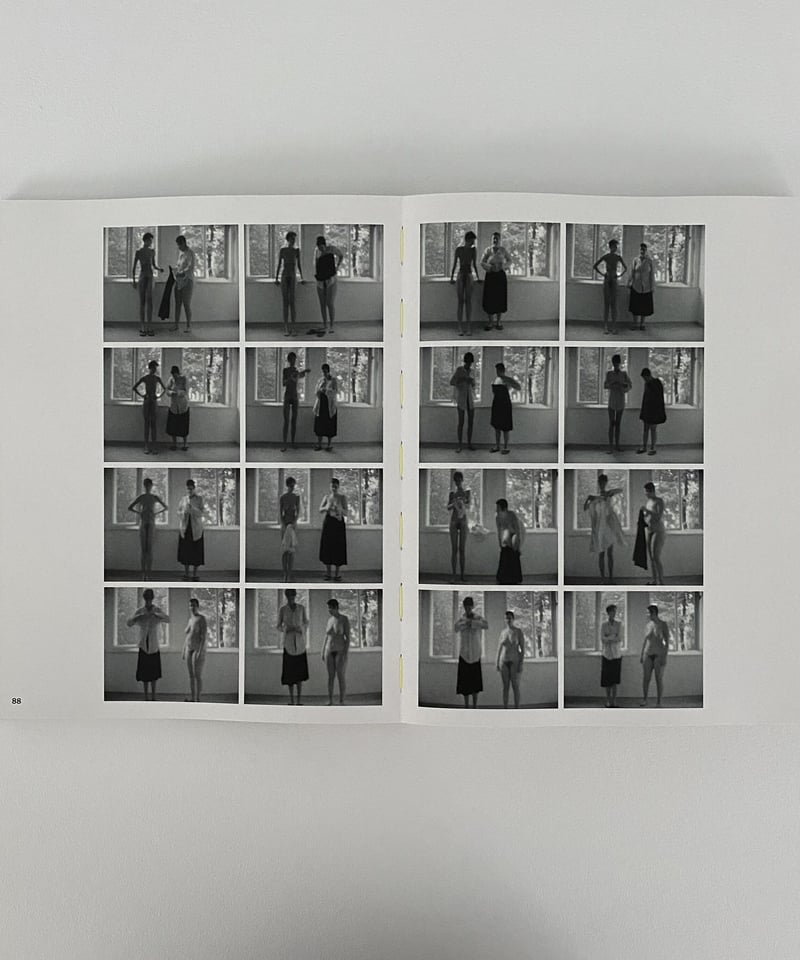 ISA GENZKEN : Retrospective　イザ・ゲンツケン 作品集 英文）イザ・ゲンツケン作品集【ISA GENZKEN Retrospective