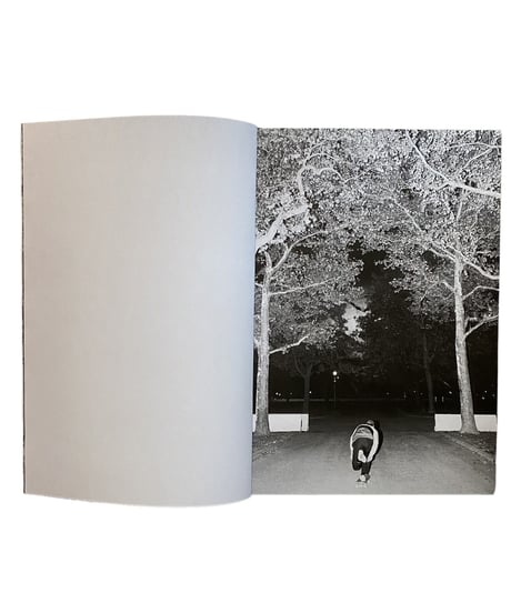 Ramon Zuliani “Flushing Meadows”