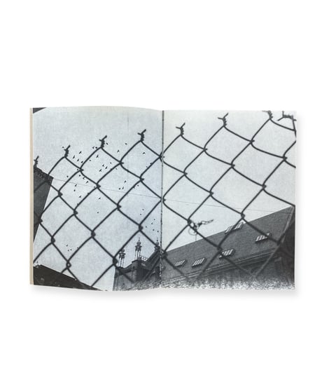 Joseph Rovegno "0126"