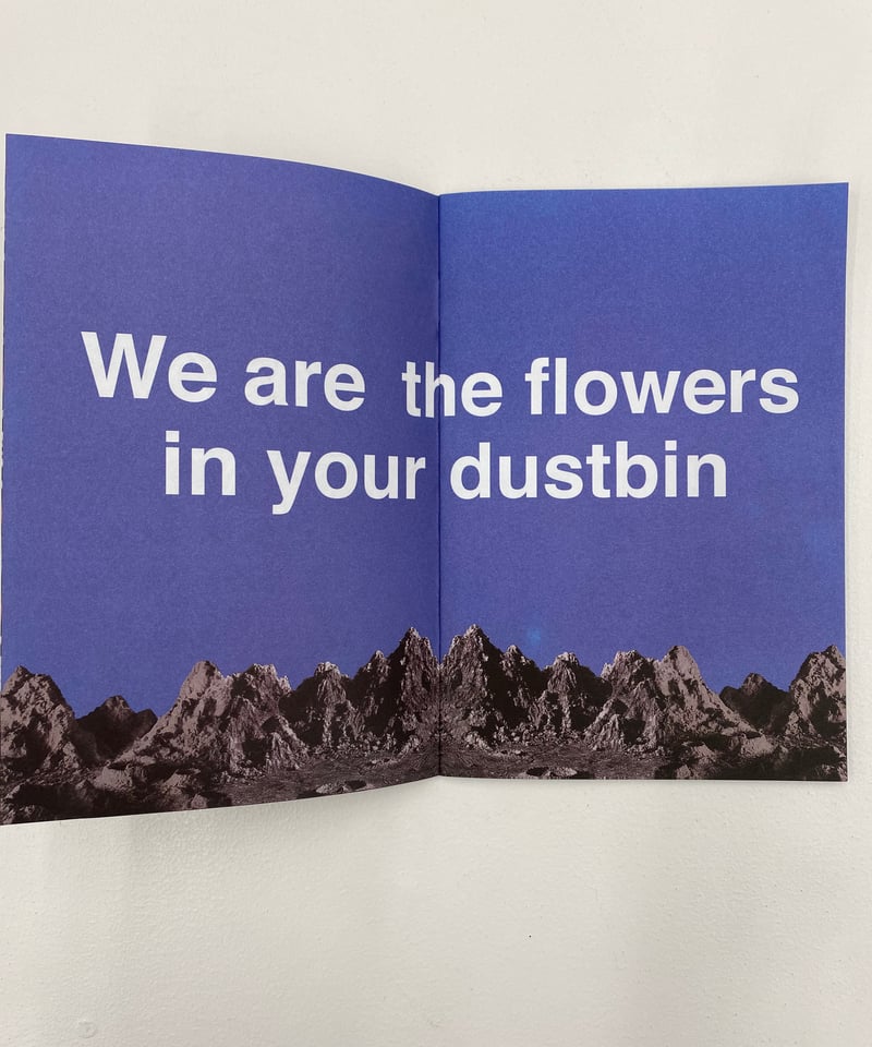 希少 珍デザイン 表裏反転 台湾版　韓国版 パラレル　含む１１枚　ムシキング Yahoo!オークション - 希少 2003年 初期 ノーマル 甲虫王者