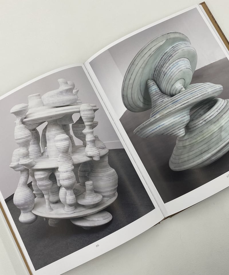 Tony Cragg 
