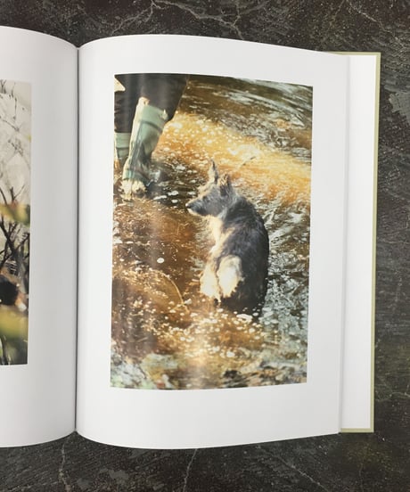 Anders Edstrom  "Waiting some birds a bus a woman/Spidernet place a crew"