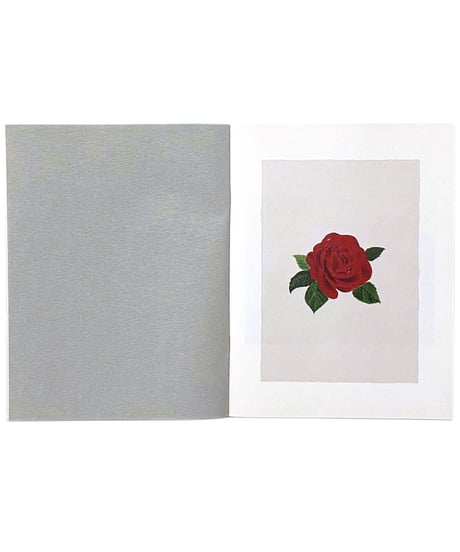 Koji Yamaguchi “Roses”