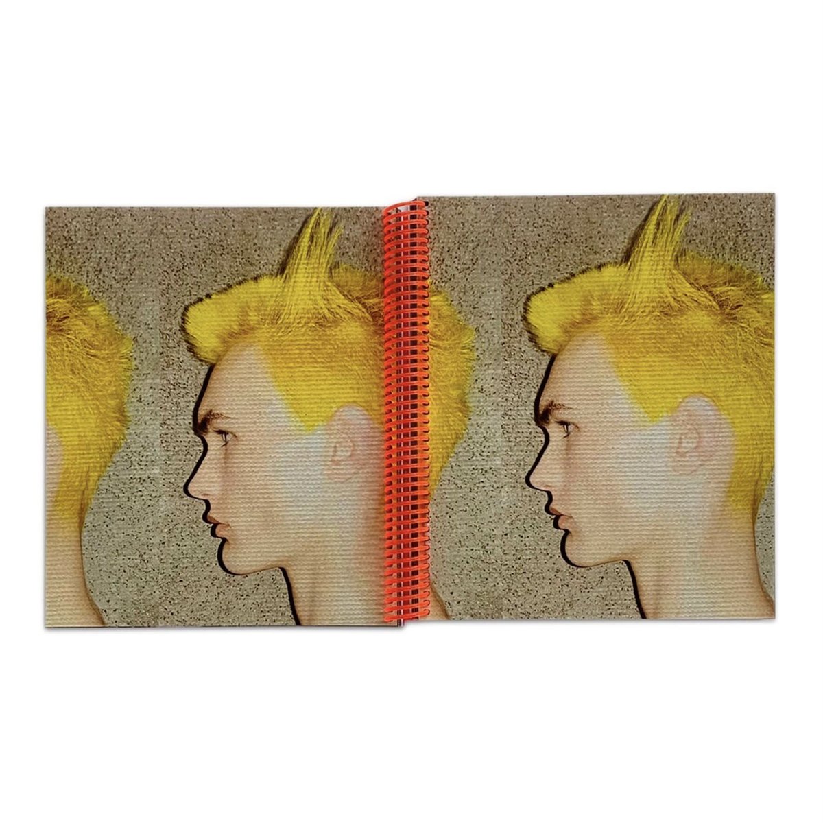 アート・デザイン・音楽 #HAIRTESTS by Guido Palau HAIRTESTS by Guido Palau – twelvebooks