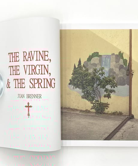 Juan Brenner "The Ravine, The Virgin, & The Spring"