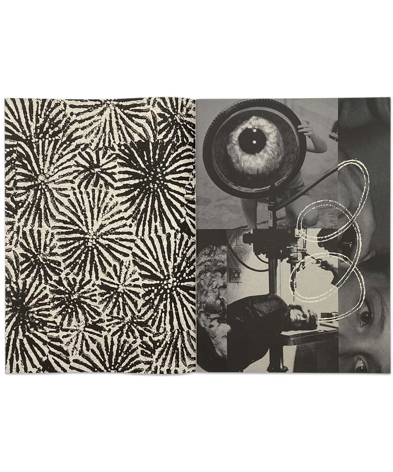 絶版‼️ Ed Davis 作品集 絶版‼️ Ed Davis 作品集