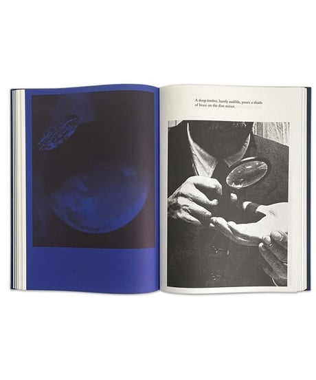 Kirstine Roepstorff "THE ARCHIVE OF DARK"