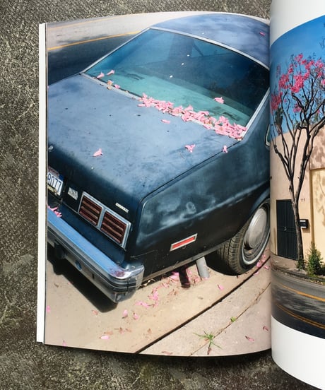 Pomegranate Press "Tunnel of Faith"