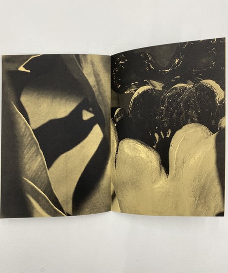 Ariane Vonmoos “Umami”