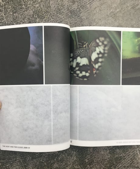 Pierre Huyge "WERKE / WORKS 2009-2019"