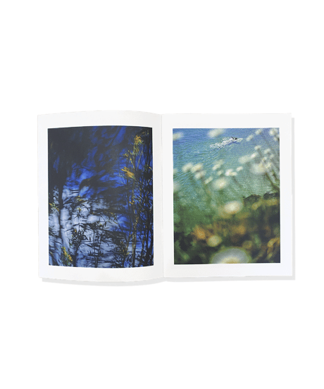Alana Celii “Murmur”