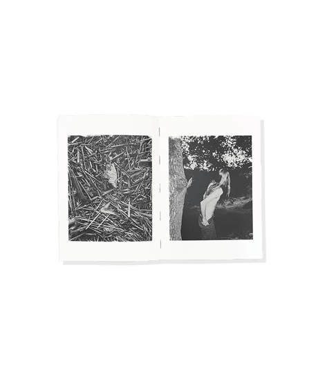 Daniel Rampulla “WILD PLACE”