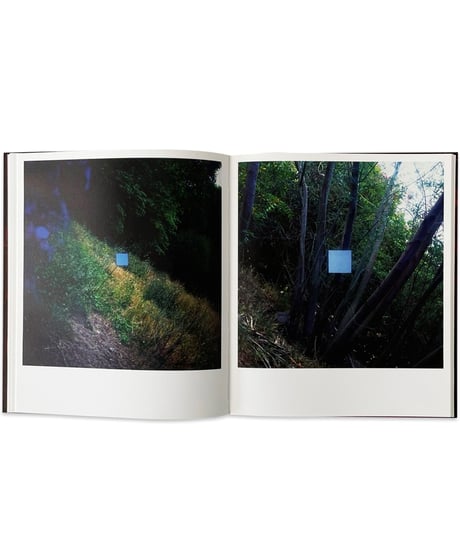 John Divola “CHROMA”