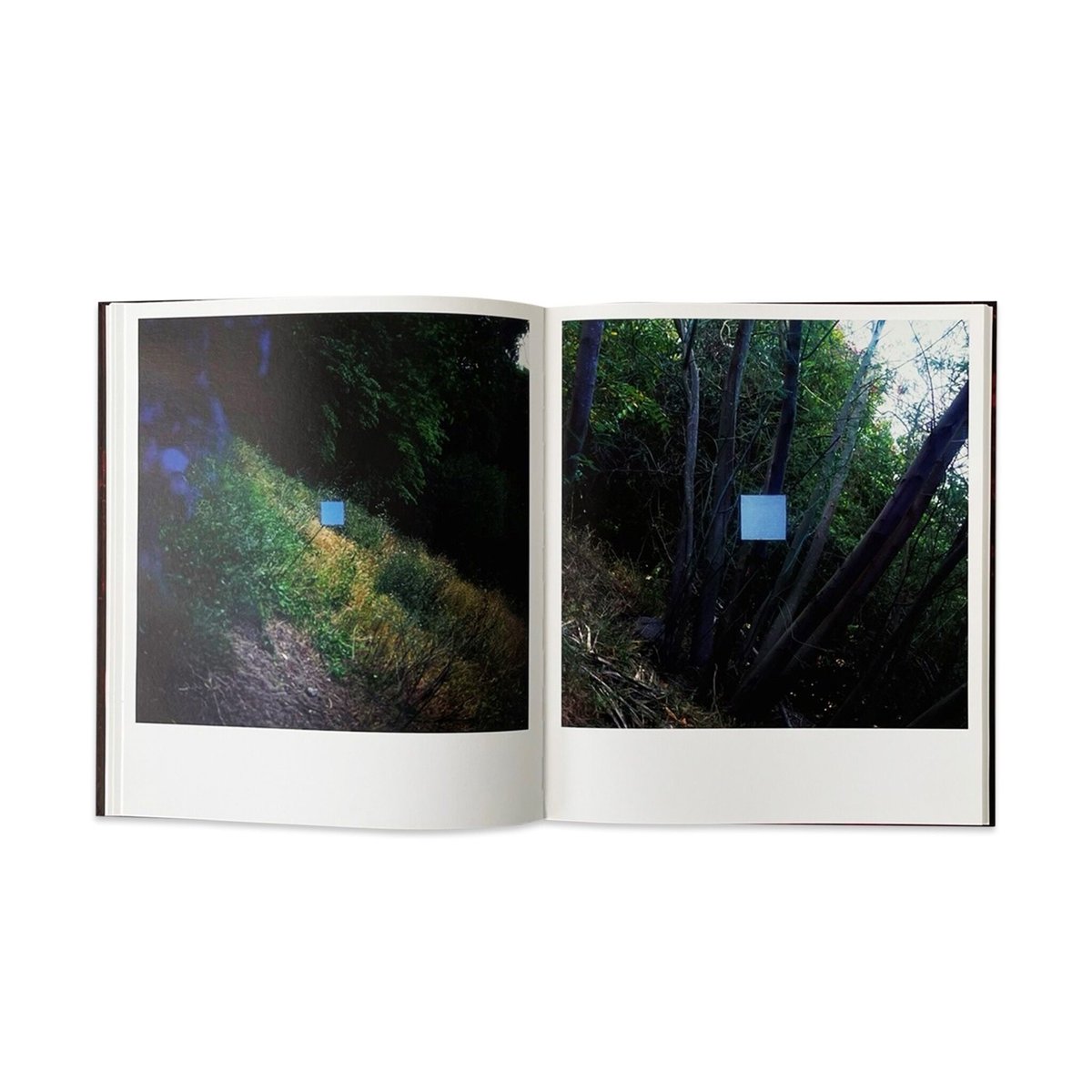 John Divola “CHROMA” | SALT AND PEPPER