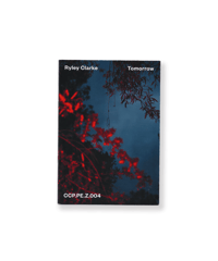 Easy Jet (poster) by Stefan Marx | SALT AND PEPPER