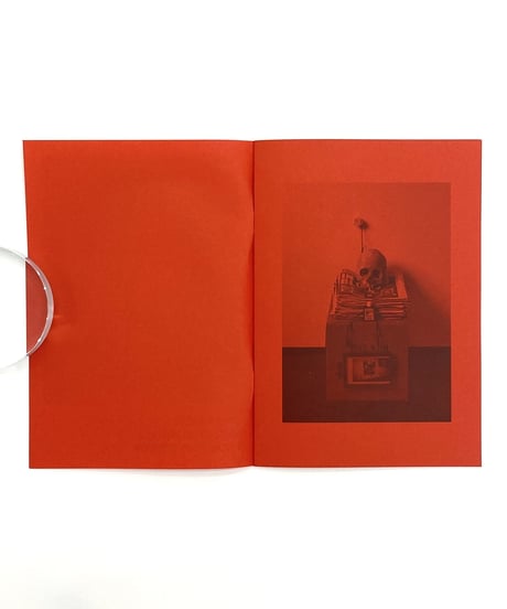Dash Snow "Selected Works From 2001 To 2009"