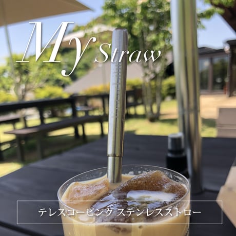 Eva et Lilit テレスコーピング ステンレスストロー ポータブルケース・ 洗浄ブラシ付き