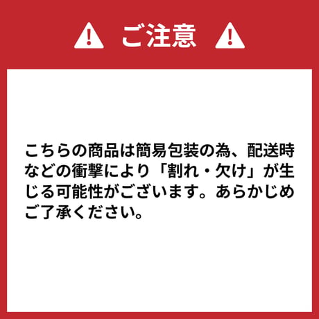 からしれんこんチップ　100g×1袋入