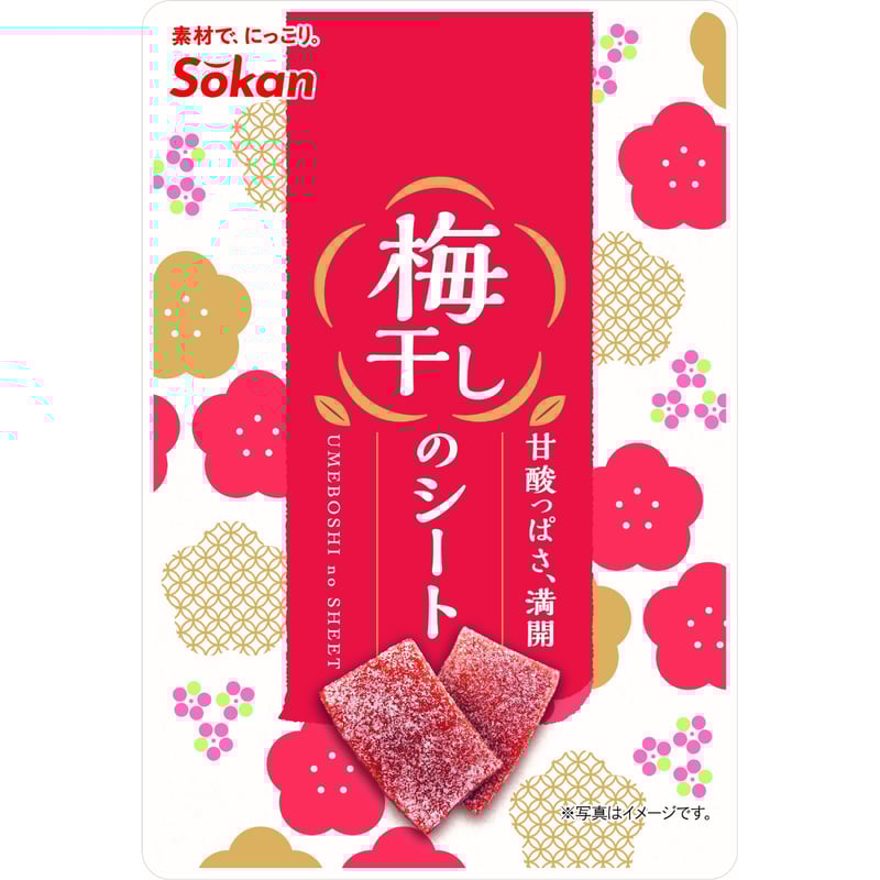 梅干しのシート 14g×24入 | 【公式】壮関 素材菓子専門店