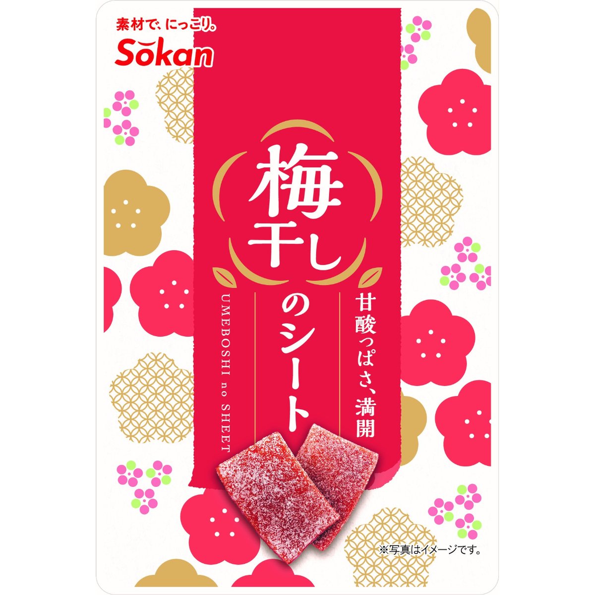 梅干しのシート 14g×24入 | 【公式】壮関 素材菓子専門店