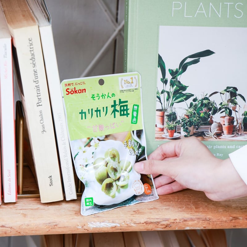 カリカリ梅樣専用購入 S カリカリ梅樣専用購入 S