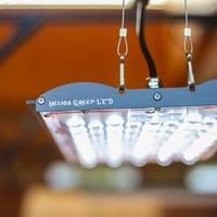 究極の植物育成ライト】Helios Green LED DOPE | Laut design