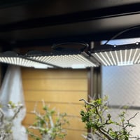 究極の植物育成ライト】Helios Green LED DOPE | Laut design