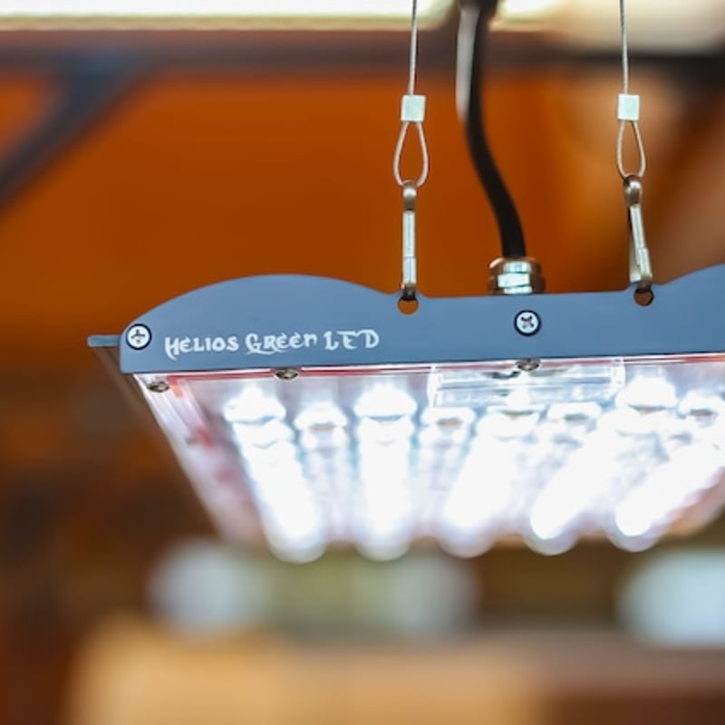 パネル単品のみ】Helios Green LED PRO Booster-101 | Lau