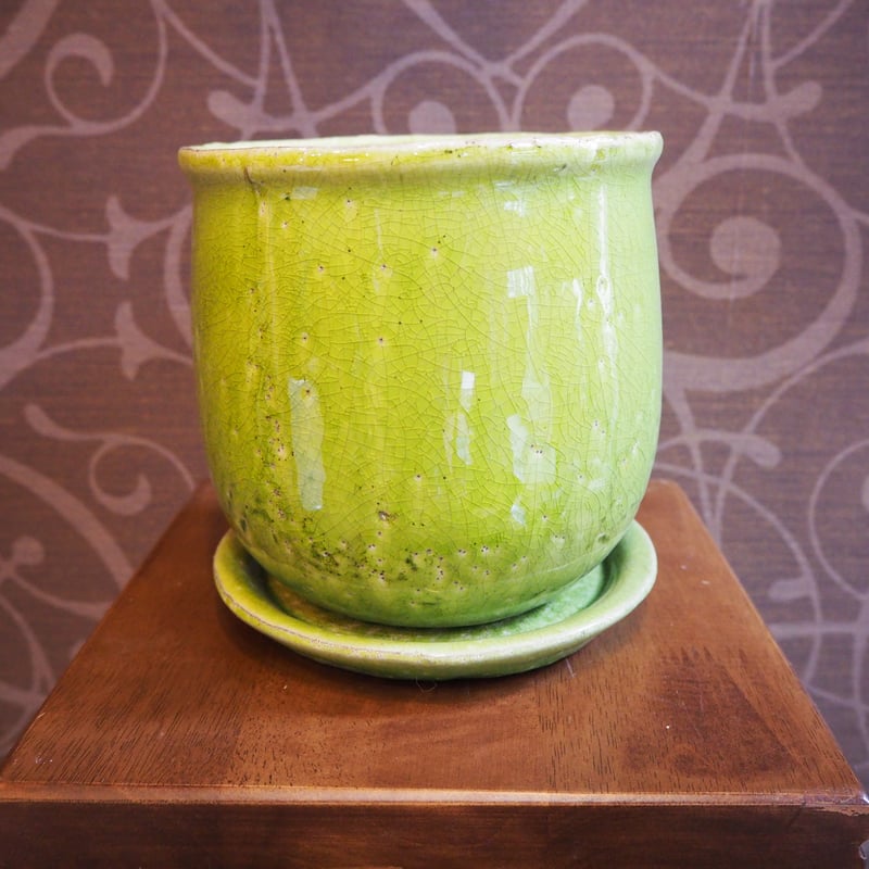 アントステラ　プランター hima様専用