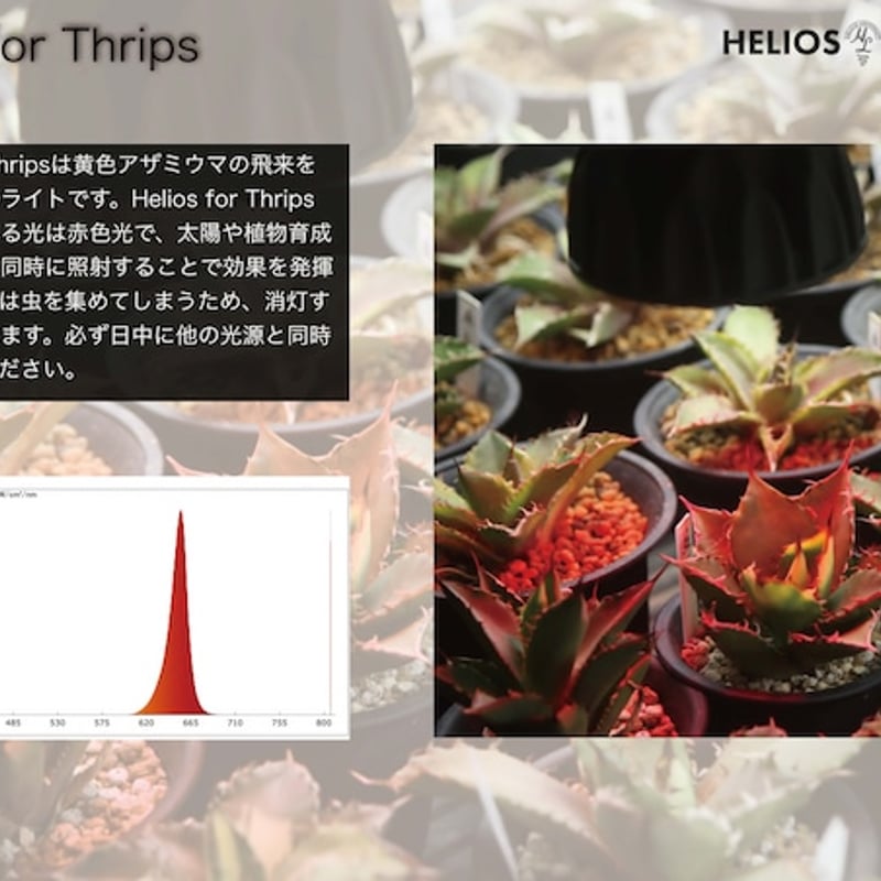2個～4個ご購入の方専用】Helios Green LED 630（黒）アザミウマ